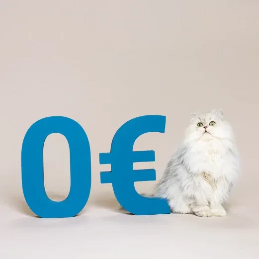 Eine flauschige weiße Katze sitzt neben einer großen blauen „0“ und einem Euro-Symbol auf einem hellen Hintergrund.