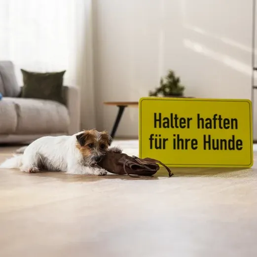 Ein kleiner Hund kaut auf einem Schuh neben einem gelben Schild mit der Aufschrift „Halter haften für ihre Hunde“ in einem gemütlichen Wohnzimmer.