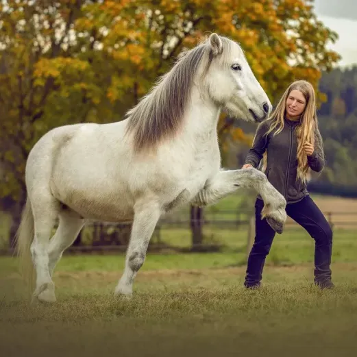 Eine Frau trainiert ein weißes Pferd, das Vorderbein zu heben, in einem grasbewachsenen Feld mit Bäumen im Hintergrund.