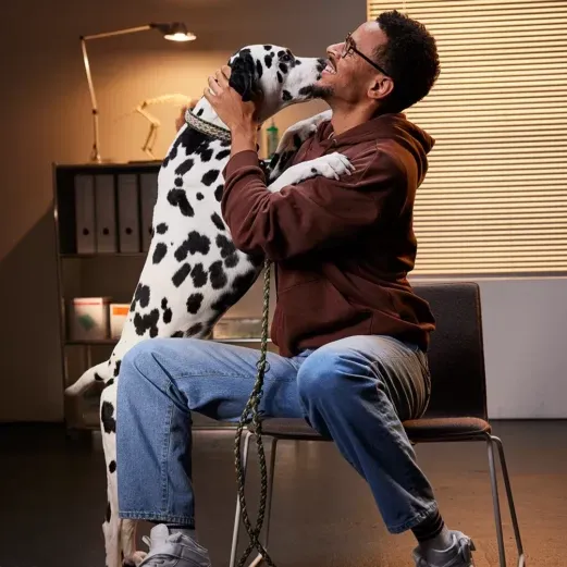 Mann auf einem Stuhl sitzend, lächelnd, während ein Dalmatinerhund ihm liebevoll das Gesicht leckt, in einem warm beleuchteten Raum.