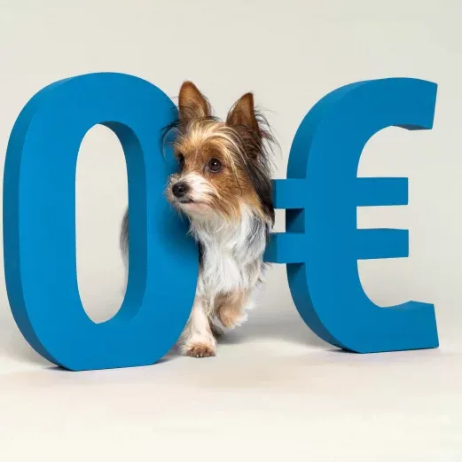 Ein kleiner Hund steht zwischen großen blauen „0“- und „€“-Symbolen auf einfarbigem Hintergrund.