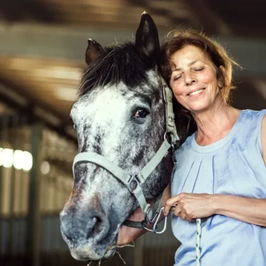 Lächelnde Frau mit geschlossenen Augen, die neben einem grauen Pferd in einem Stall steht und sanft das Halfter hält Drei Menschen reiten auf Pferden an einem Sandstrand mit sanften Wellen unter einem klaren blauen Himmel.