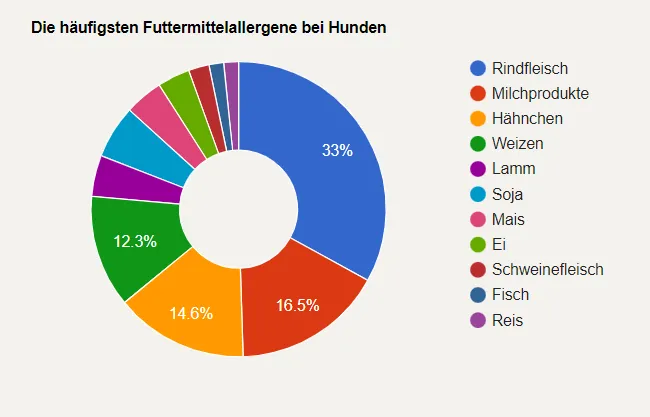 haeufigsten_futtermittelallergene_hunden Kuchendiagramm mit den häufigsten Nahrungsmittelallergenen bei Hunden: Rindfleisch 33 %, Milchprodukte 16,5 %, Huhn 14,6 %, Weizen 12,3 %, Lamm, Soja, Mais, Ei, Schweinefleisch, Fisch, Reis.