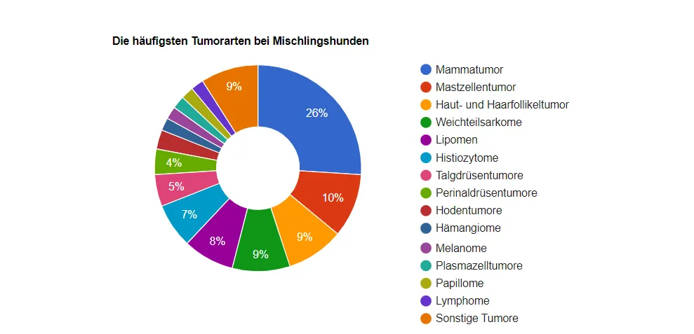 Tortendiagramm mit den häufigsten Tumorarten bei Mischlingshunden, mit Prozentangaben: Brustdrüse (26 %), Mastzellen (10 %), Haut (9 %) und andere.