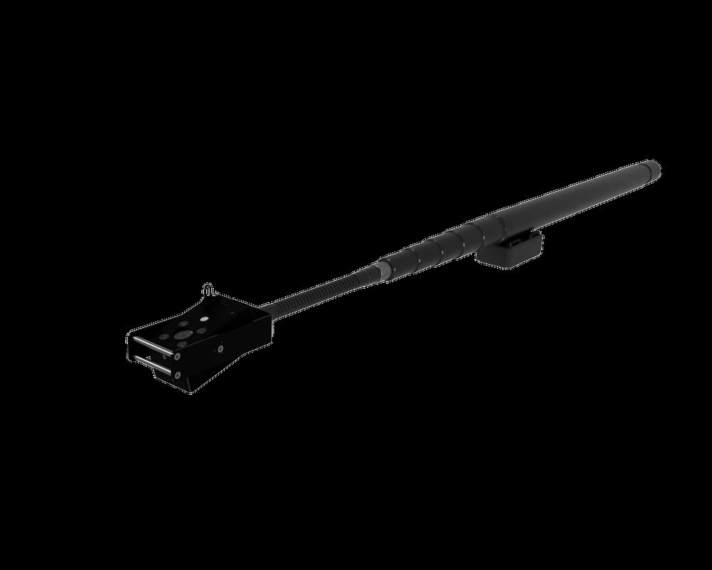 Cyclops extendible pole camera