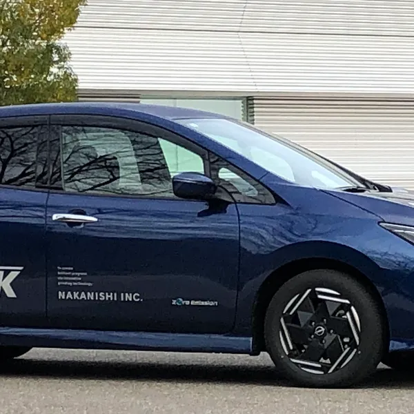 Deployment of EVs (Electric Vehicles) and Strategy for Carbon Neutrality