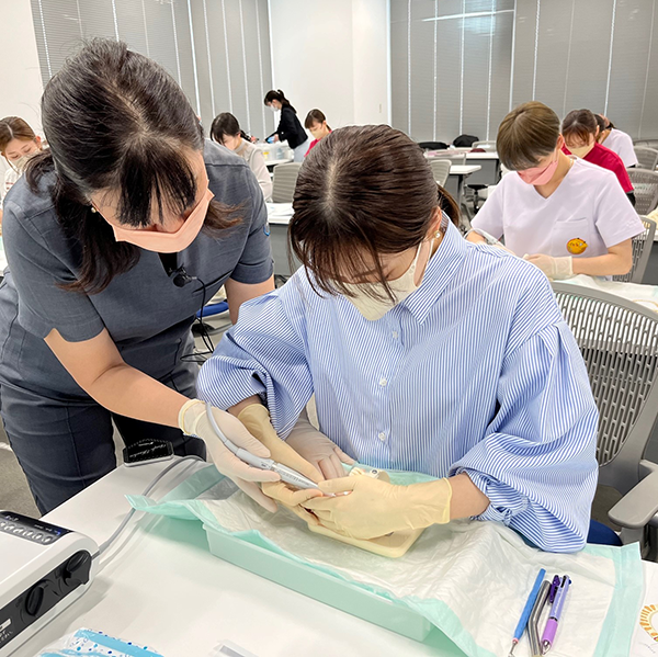 Diş sağlık çalışanlarının becerilerini geliştirmeye yönelik kapsamlı destek sağlama. Şu anda yurt içinde ve yurt dışında düzenlenen seminerler.