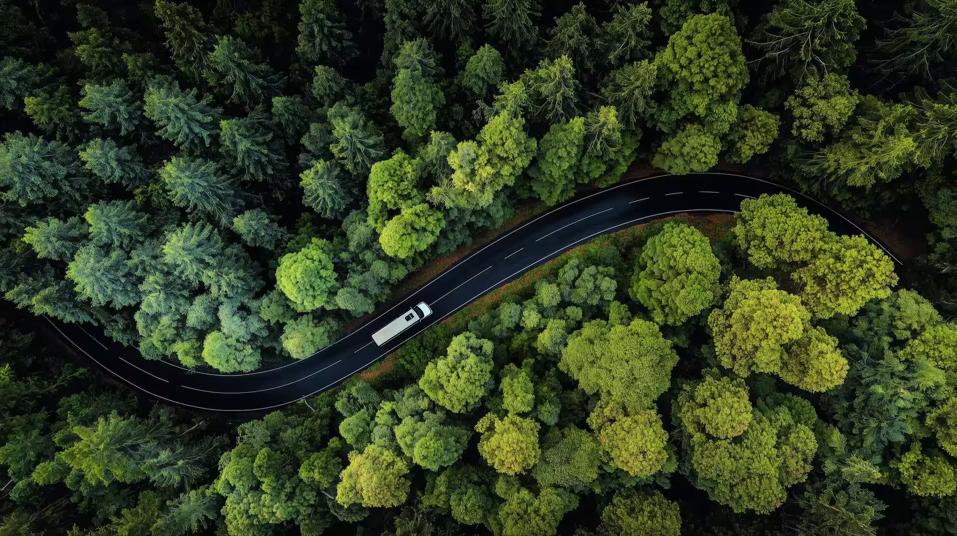 Luftaufnahme von oben auf einen weißen Reisebus, der auf einer kurvigen, asphaltierten Straße durch einen dichten, grünen Wald fährt.