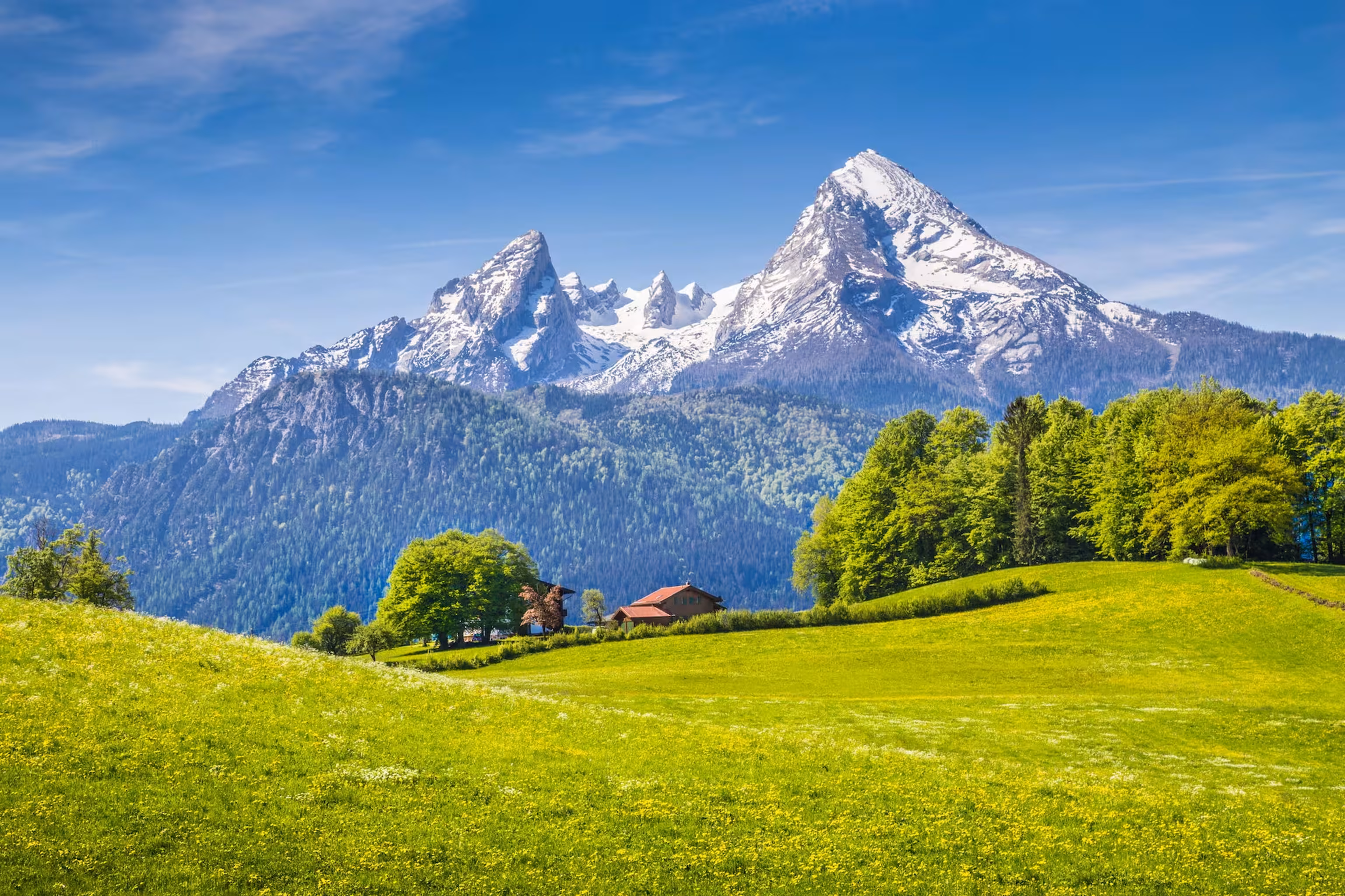 Schneebedeckte Alpen unter klarem blauem Himmel, mit saftig grünen Wiesen und einem kleinen Haus im Vordergrund.