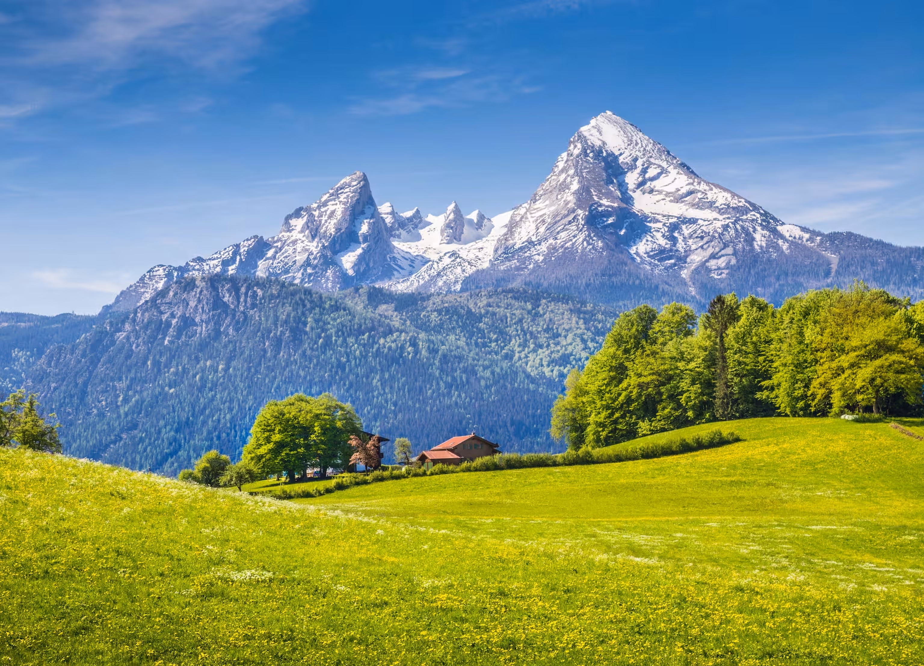 Schneebedeckte Alpen unter klarem blauem Himmel, mit saftig grünen Wiesen und einem kleinen Haus im Vordergrund.