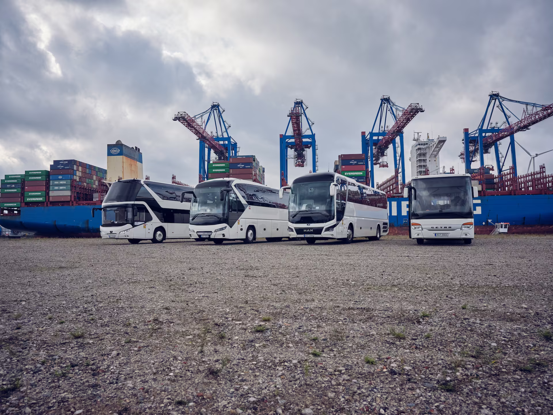 Vier weiße Busse vor Hafenkränen