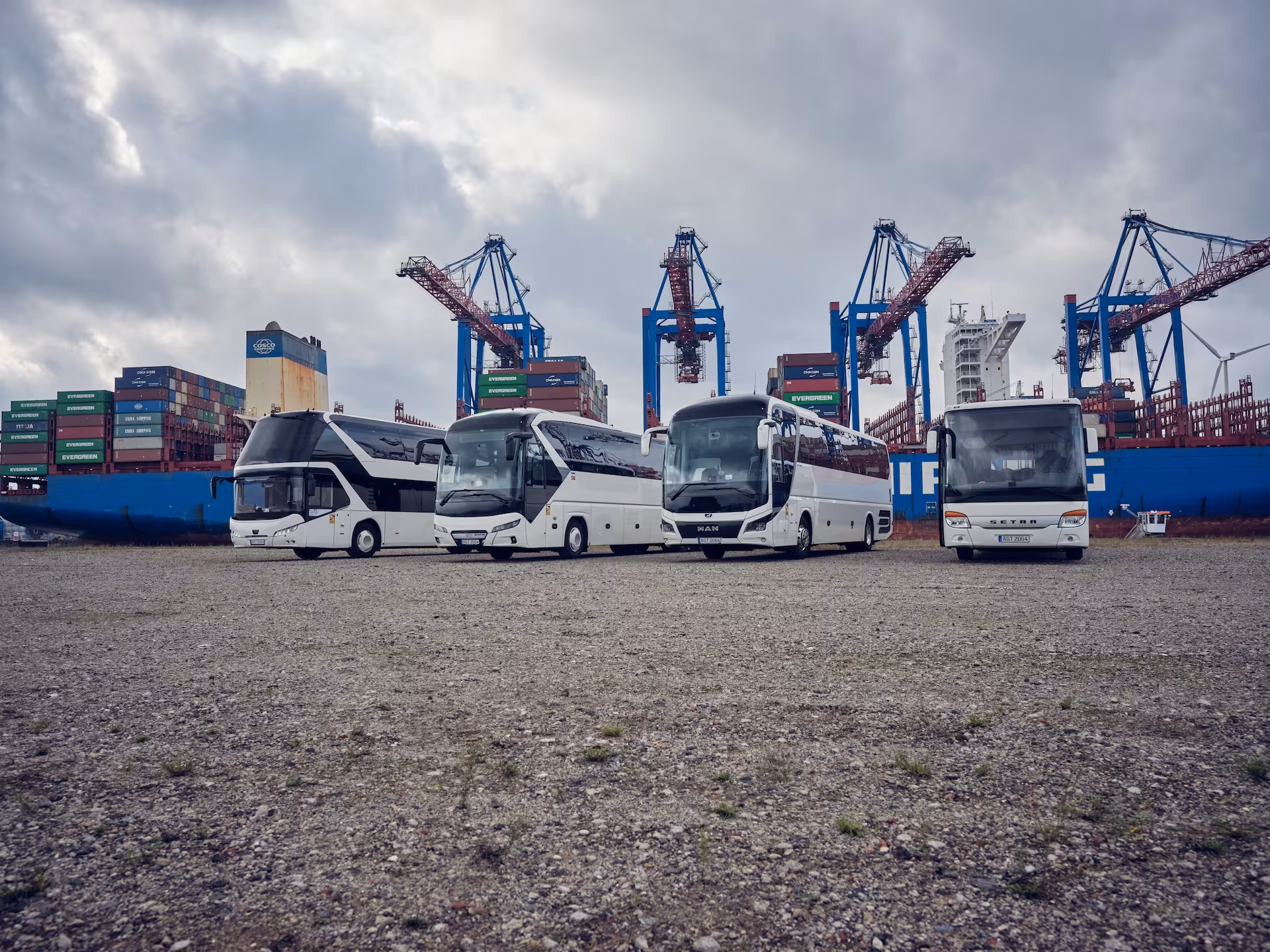 Vier weiße Busse stehen vor großen Hafenkränen und gestapelten Containern.