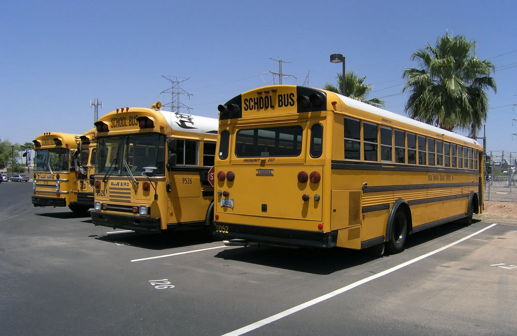 Zwei amerikanische Schulbusse