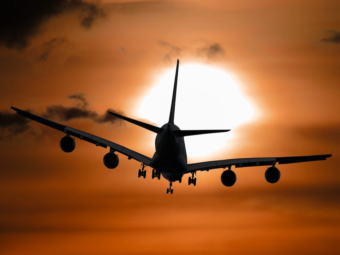 flight plane sky sun take off