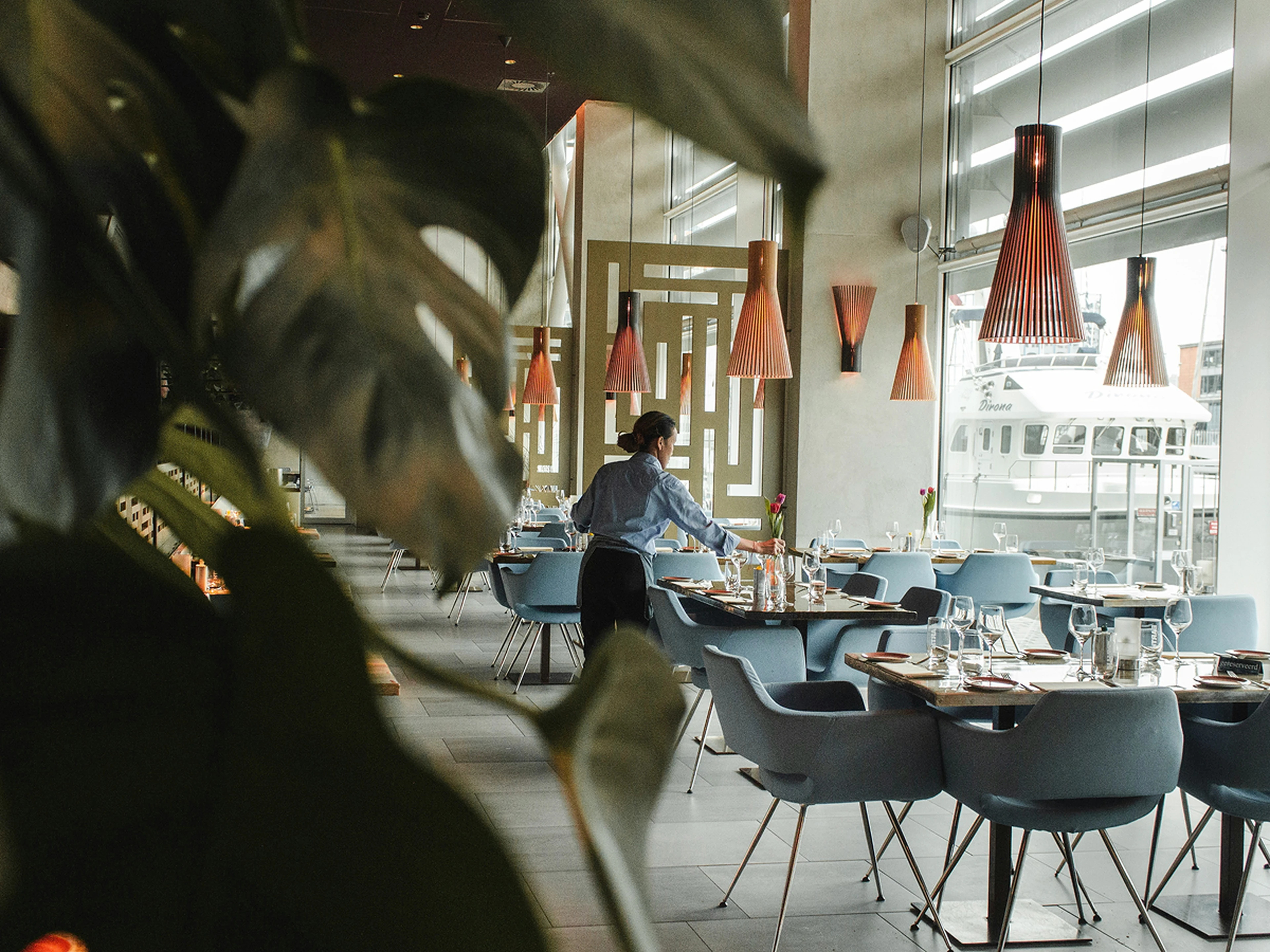 A person sets tables in a modern restaurant with blue chairs, large windows, and pendant lights. A plant is visible in the foreground.