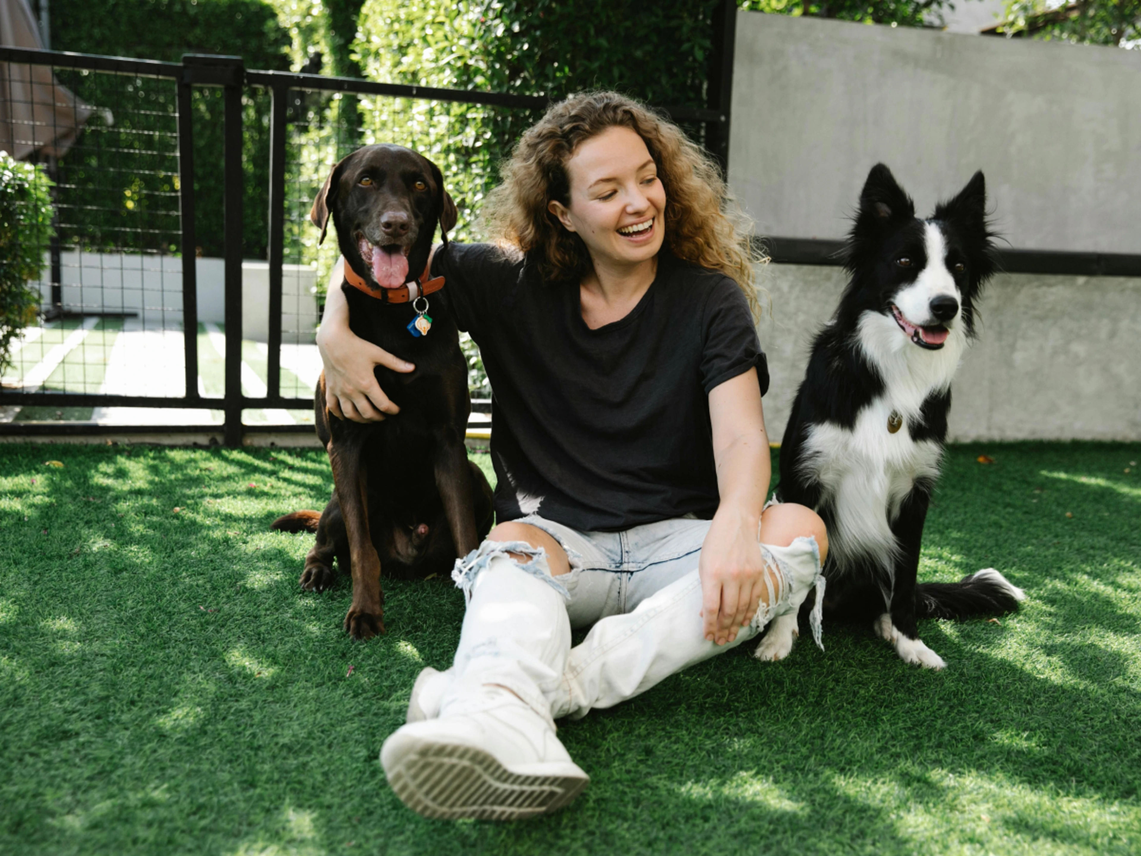 hotel guest and dogs in a dog park