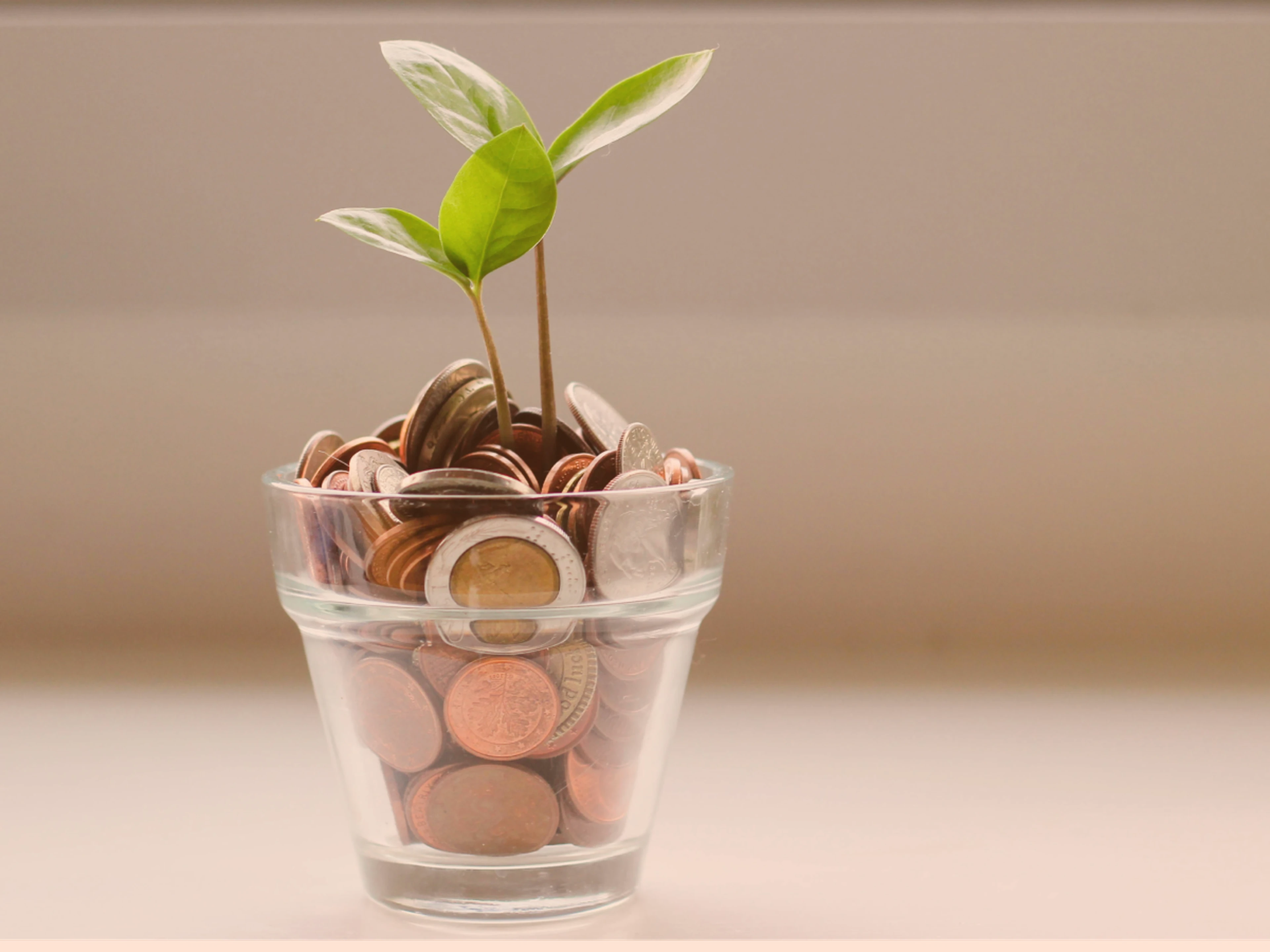 small plant growing out of a glass flowerpot filled with coins to symbolize revenue growth