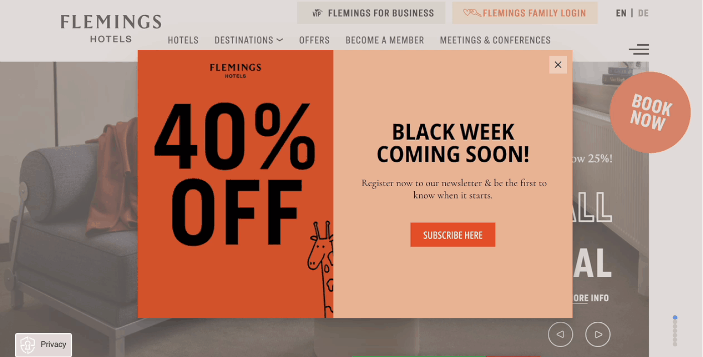 Black Friday promotion example