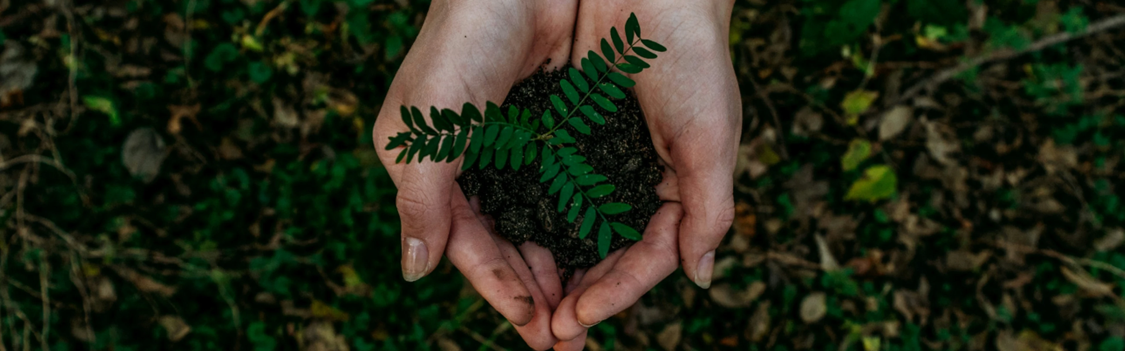 sustainability in hospitality