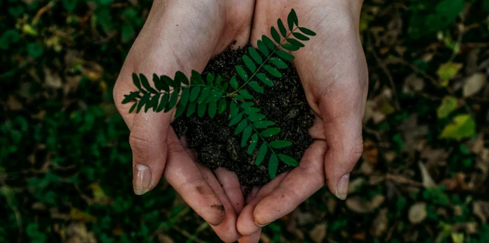 sustainability in hospitality