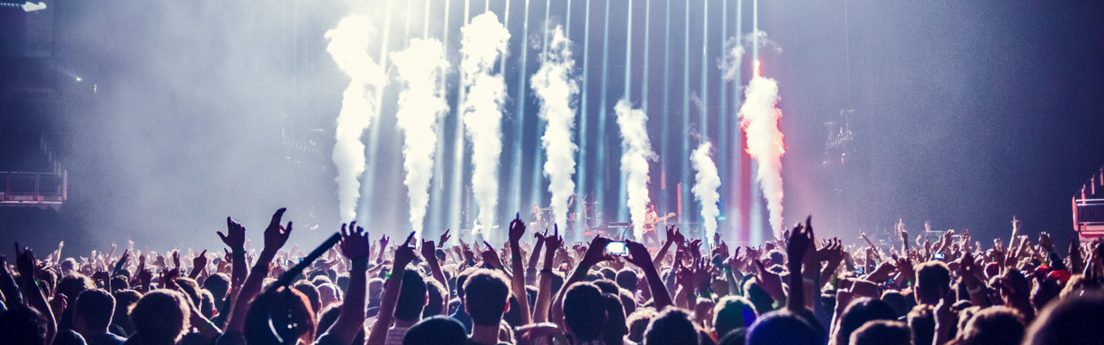 crowd at music festival
