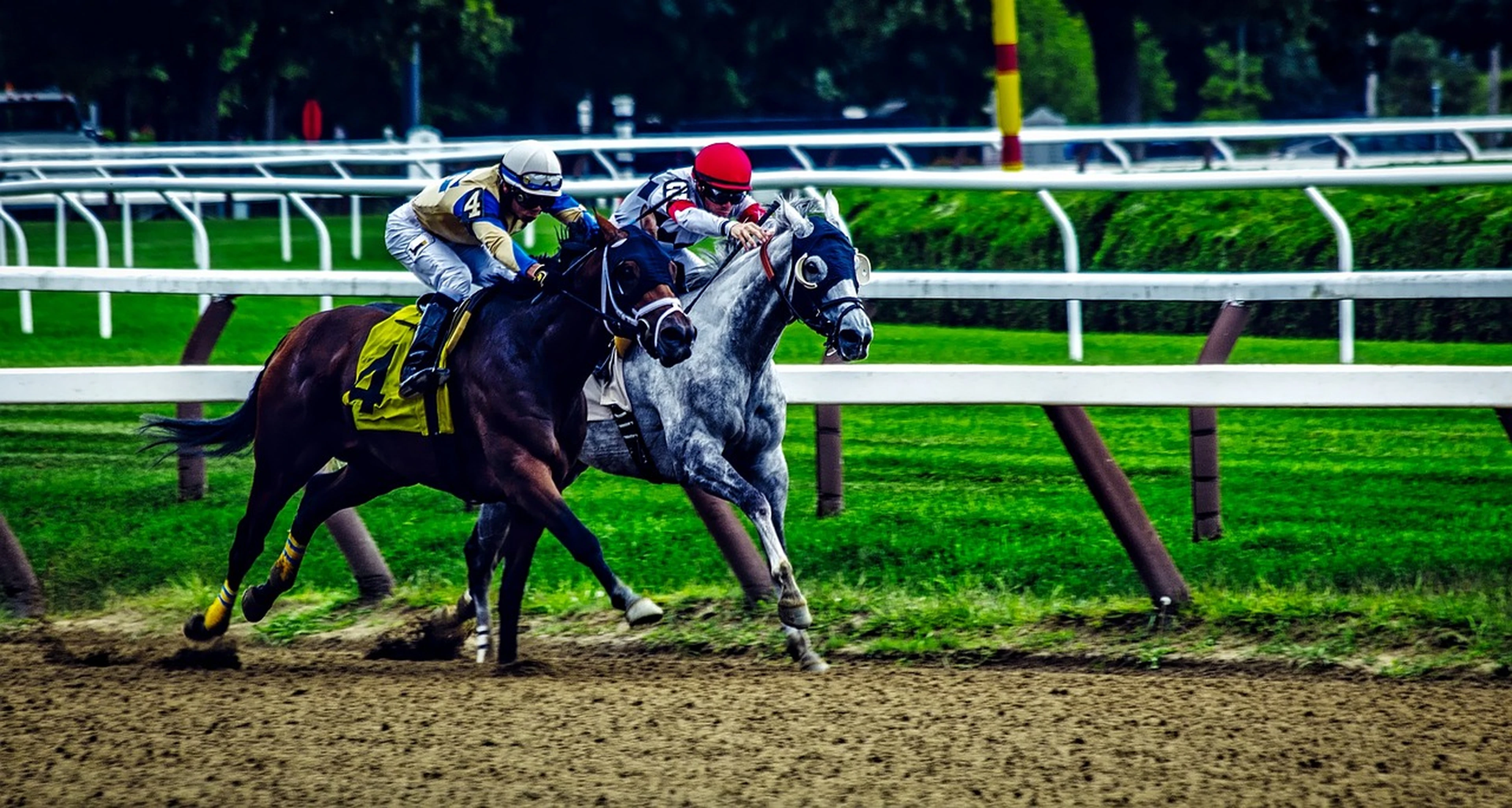two horses racing in a derby