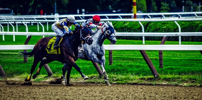 two horses racing in a derby