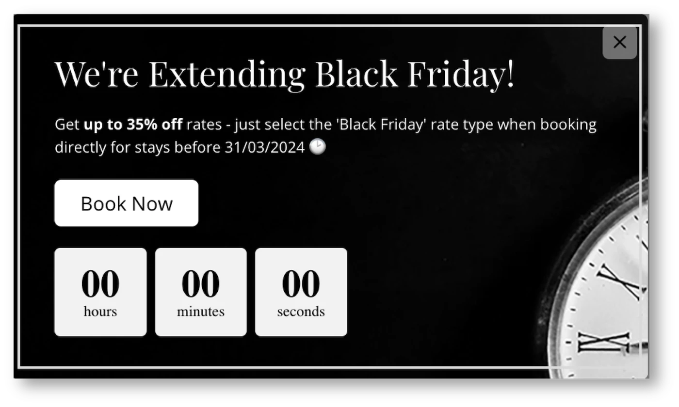 Black Friday promotion example