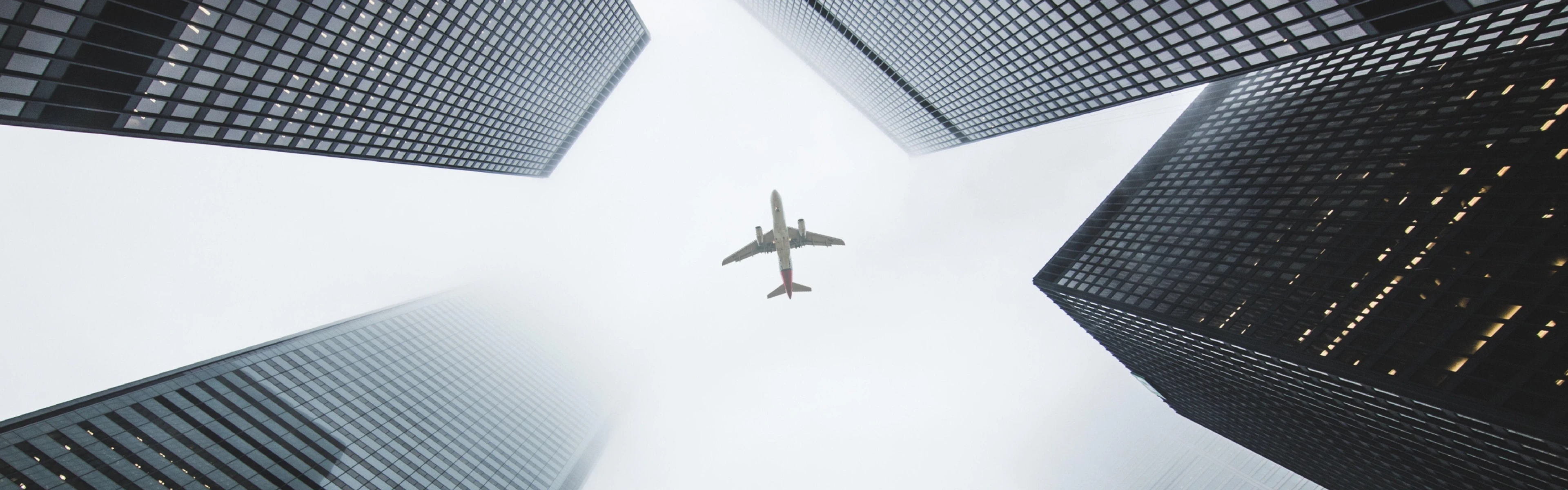 The definitive guide to forecasting demand at your hotel with forward-looking search data