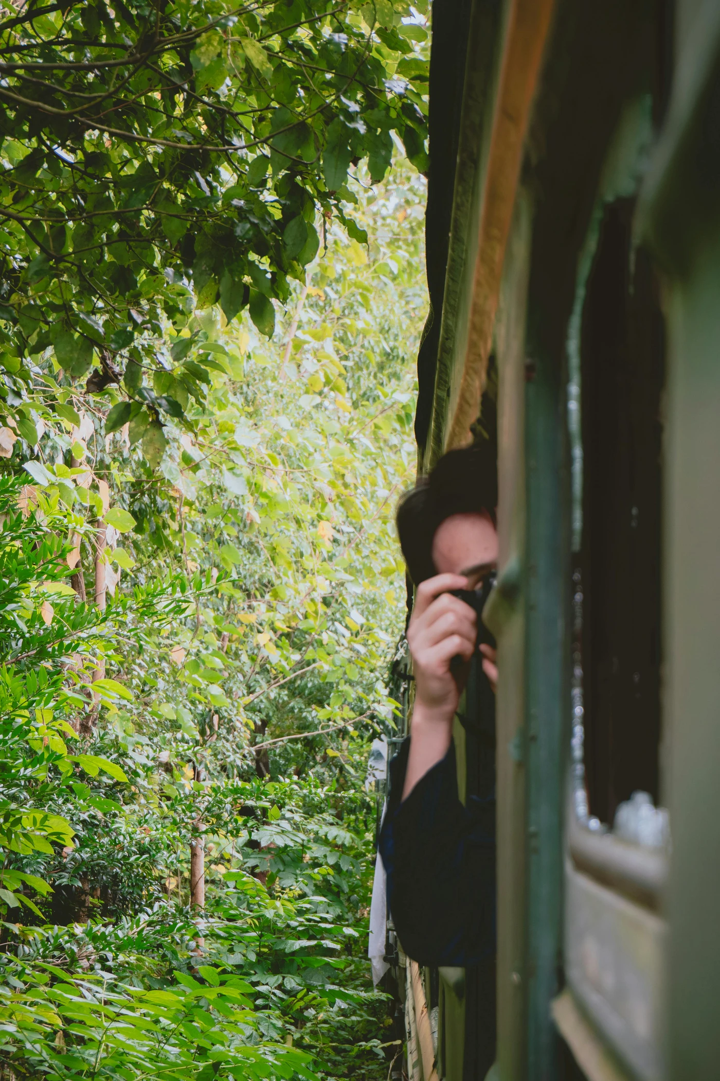 Niche platforms may attract specific demographics, such as eco-conscious travelers or luxury seekers, further broadening the potential audience