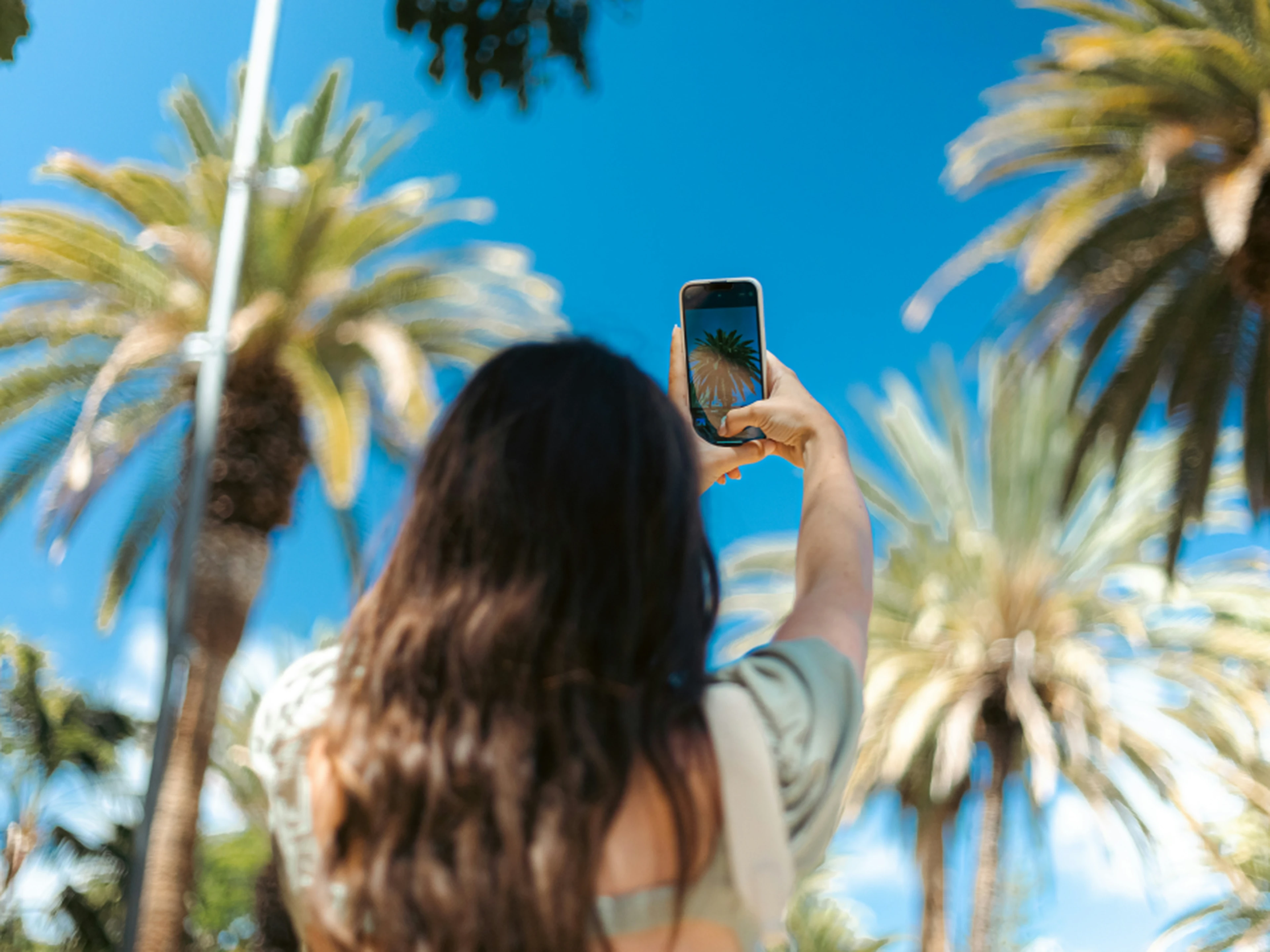 Rear view of influencer with long dark hair holding a phone to photograph tall palm trees against a bright blue sky.