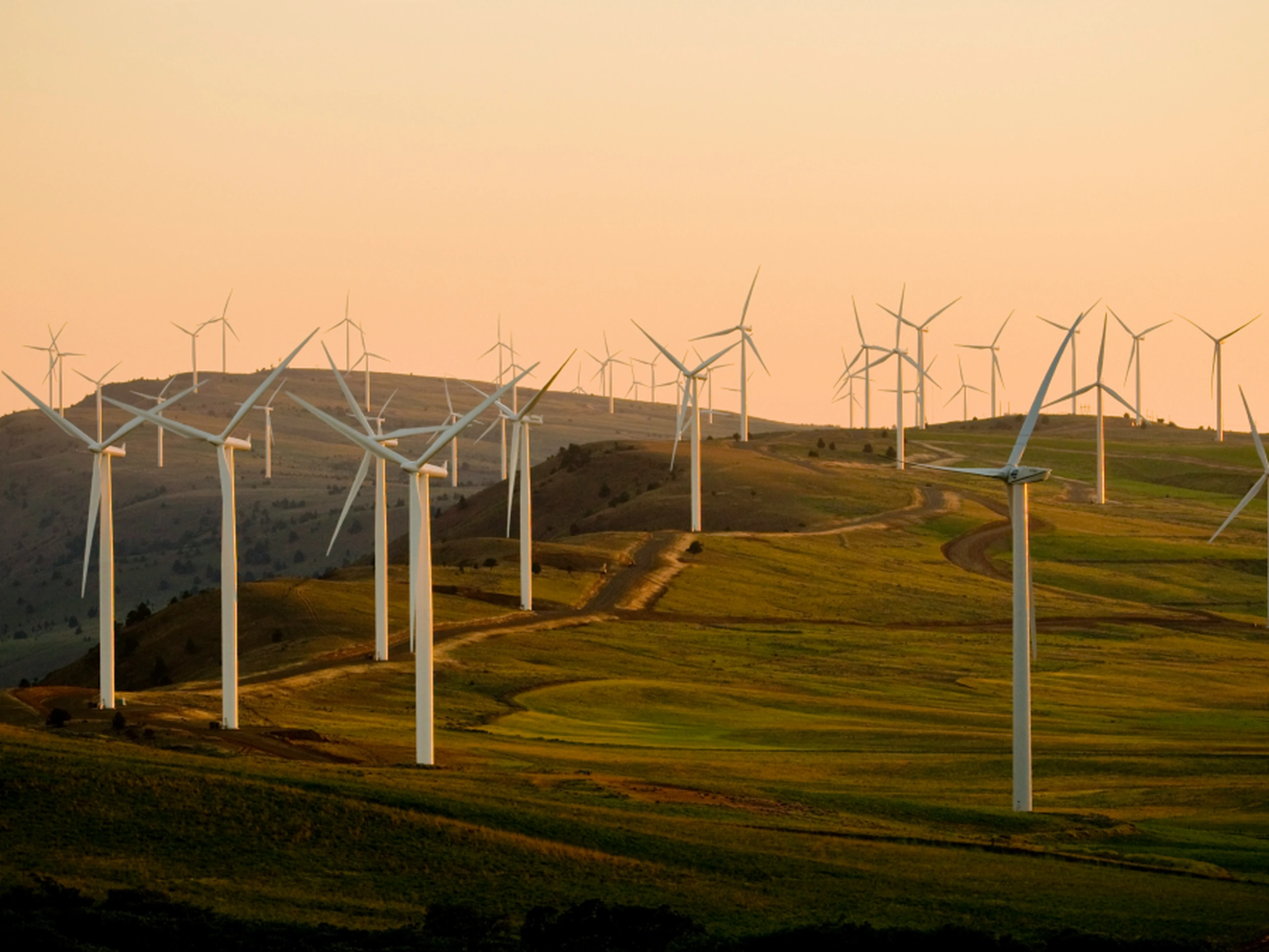 Rows of white wind turbines dotting green rolling hills beneath a warm orange sunset sky.
