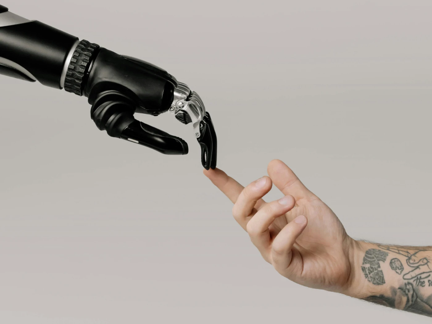 A human hand and a robot hand to show training AI models on the human touch