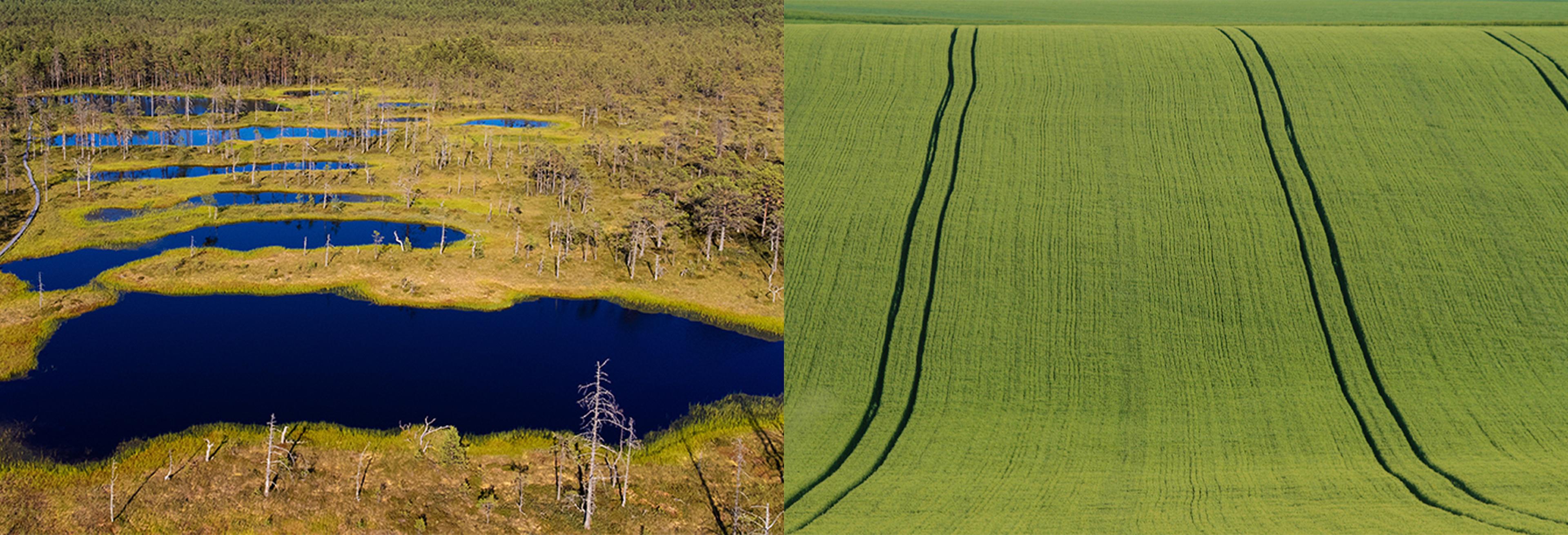 Biodiversität