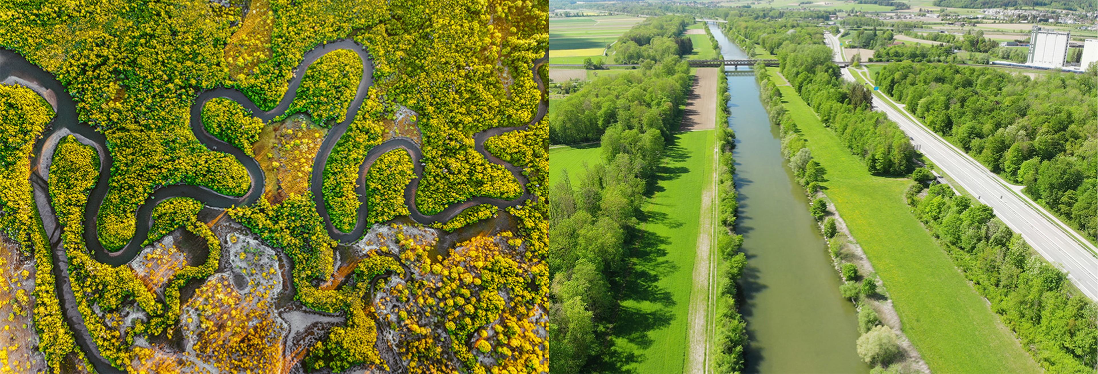 Biodiversität