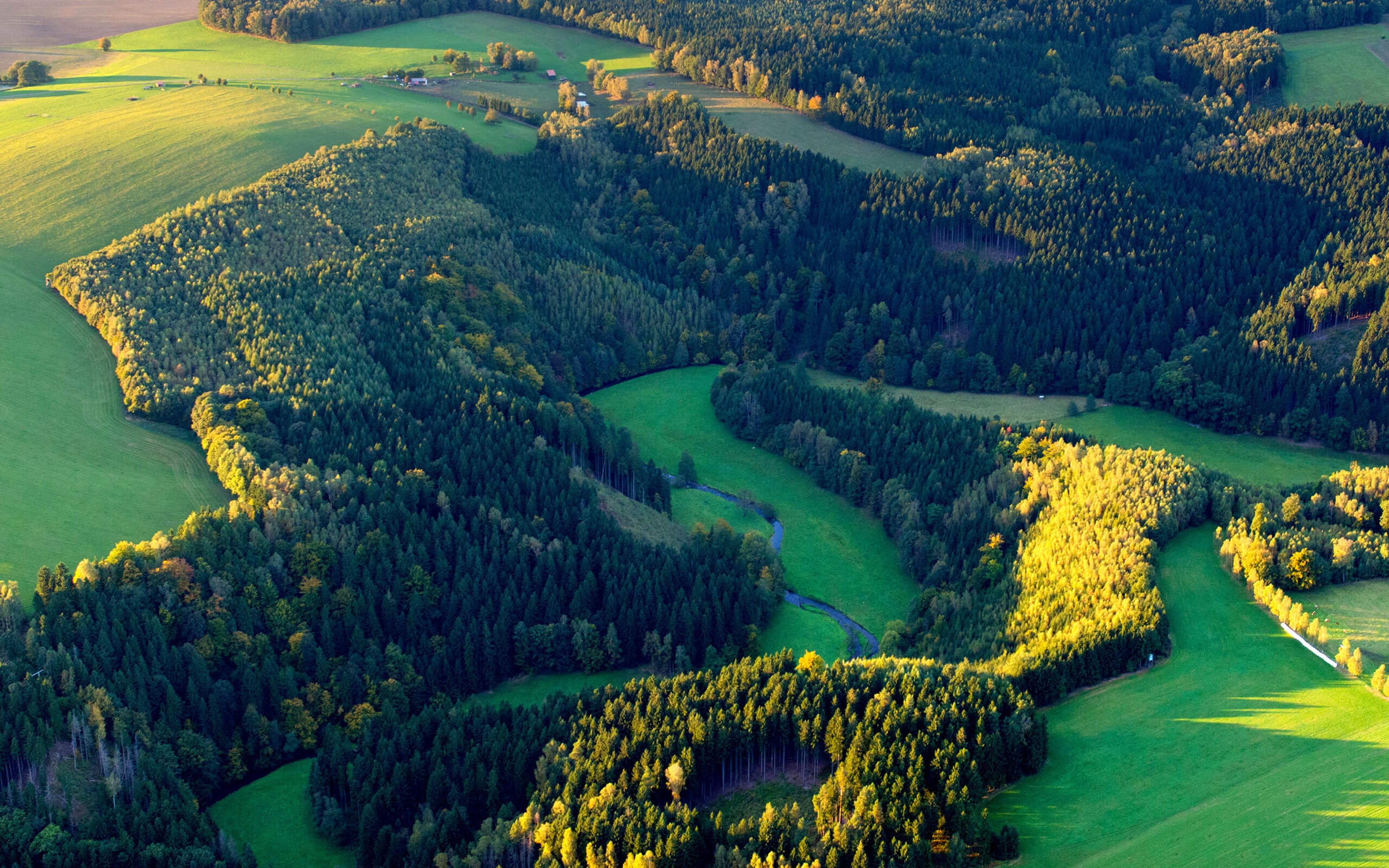 Biodiversität