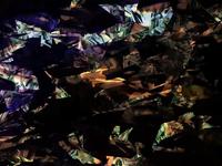Abstract digital artwork featuring jagged, multicolored shapes in dark tones, creating a chaotic and dynamic composition.