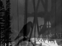 Black and white movie still image of a shadow from a crow sitting on some kind of industrial construction. Double exposure with some word fragments