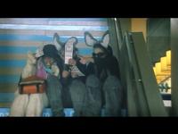 Three people in animal costumes sit on stairs, playfully holding striped cards. The setting appears to be indoors with a modern design.