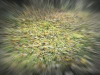 Blurred image of a grassy field with a radial zoom effect, creating a dynamic, focused center surrounded by a motion-blurred edge.