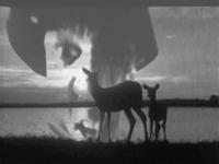 Two silhouetted deers stand in a front of a lake at dusk, with a large, screaming head in the background.