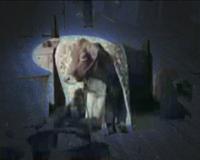 A cow stands under a blanket in a dimly lit room, with a shadowy and abstract background.