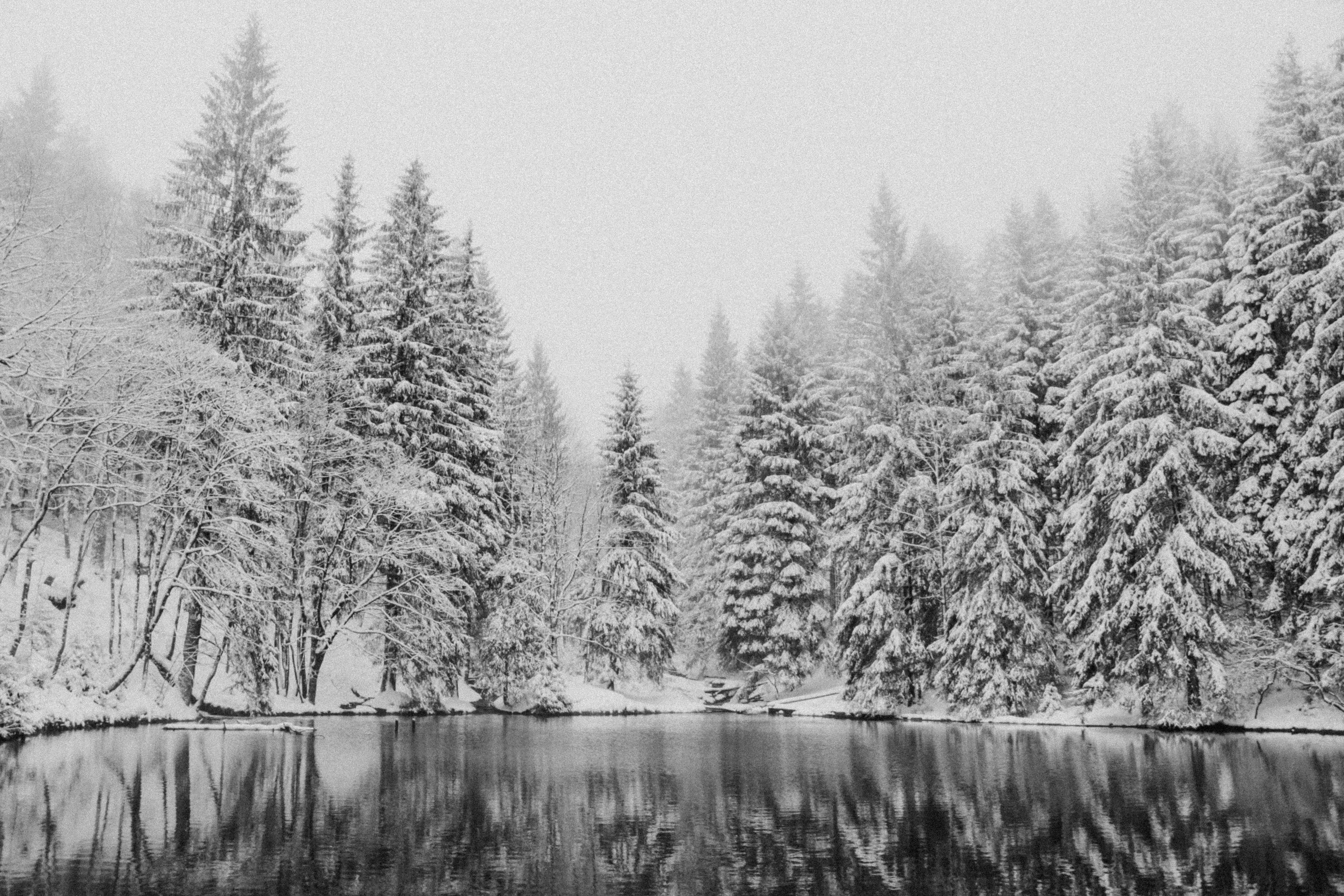 alena-praslova-l-8-r8rdpuy-unsplash