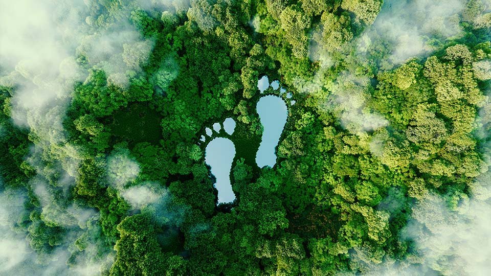 Aerial view of a lush green forest with two large, footprint-shaped ponds in the center, surrounded by mist.
