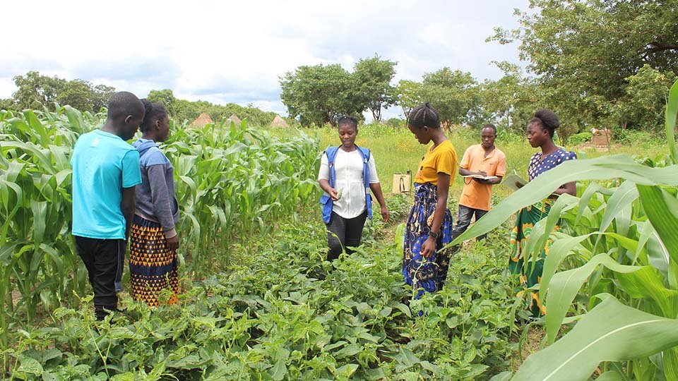 A group of people stand in a lush agricultural field, surrounded by rows of green crops, as one person appears to explain or demonstrate something.