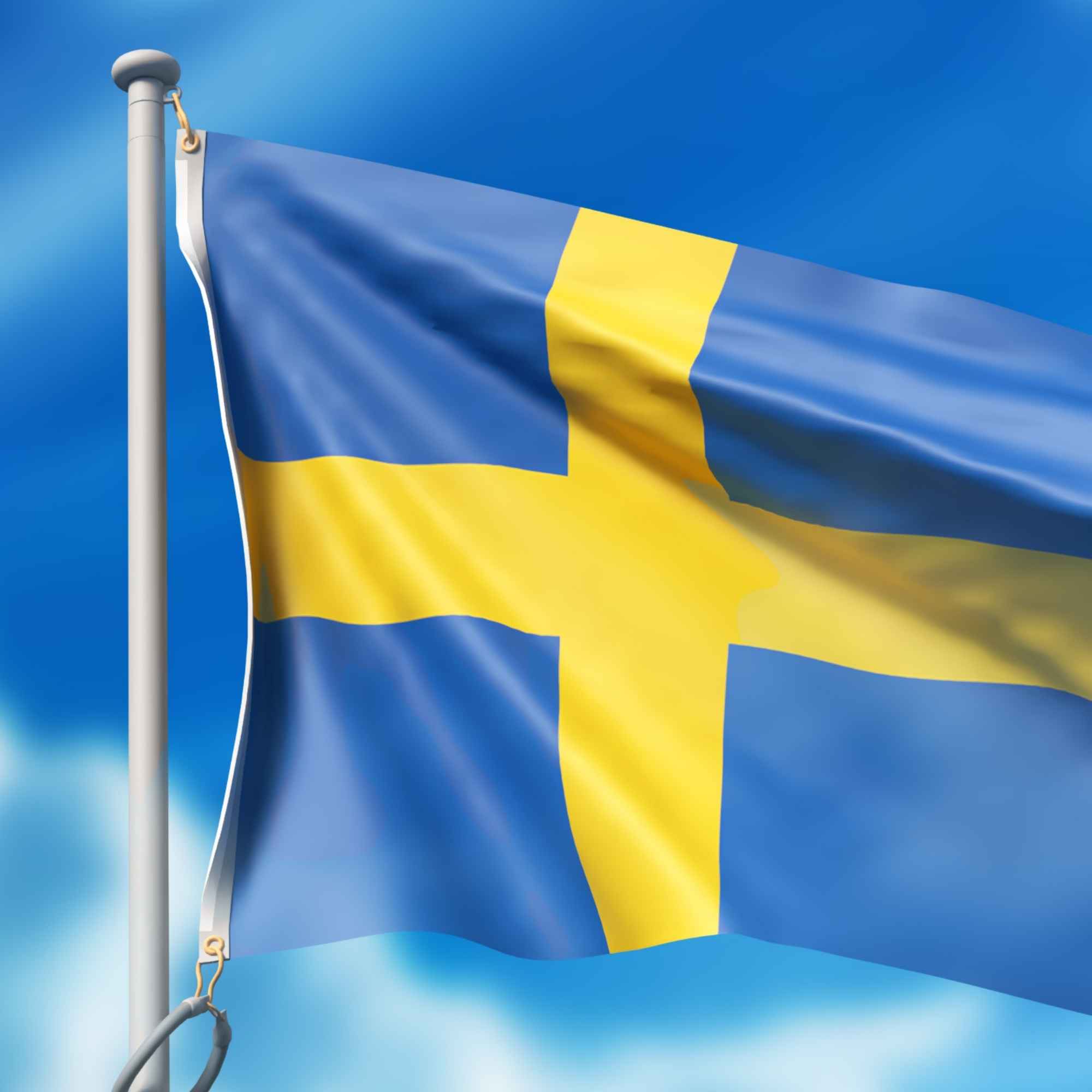 Save on Battery Fees in Sweden with ESTG | EPR Guide Save on Battery Fees in Sweden with ESTG | EPR Guide