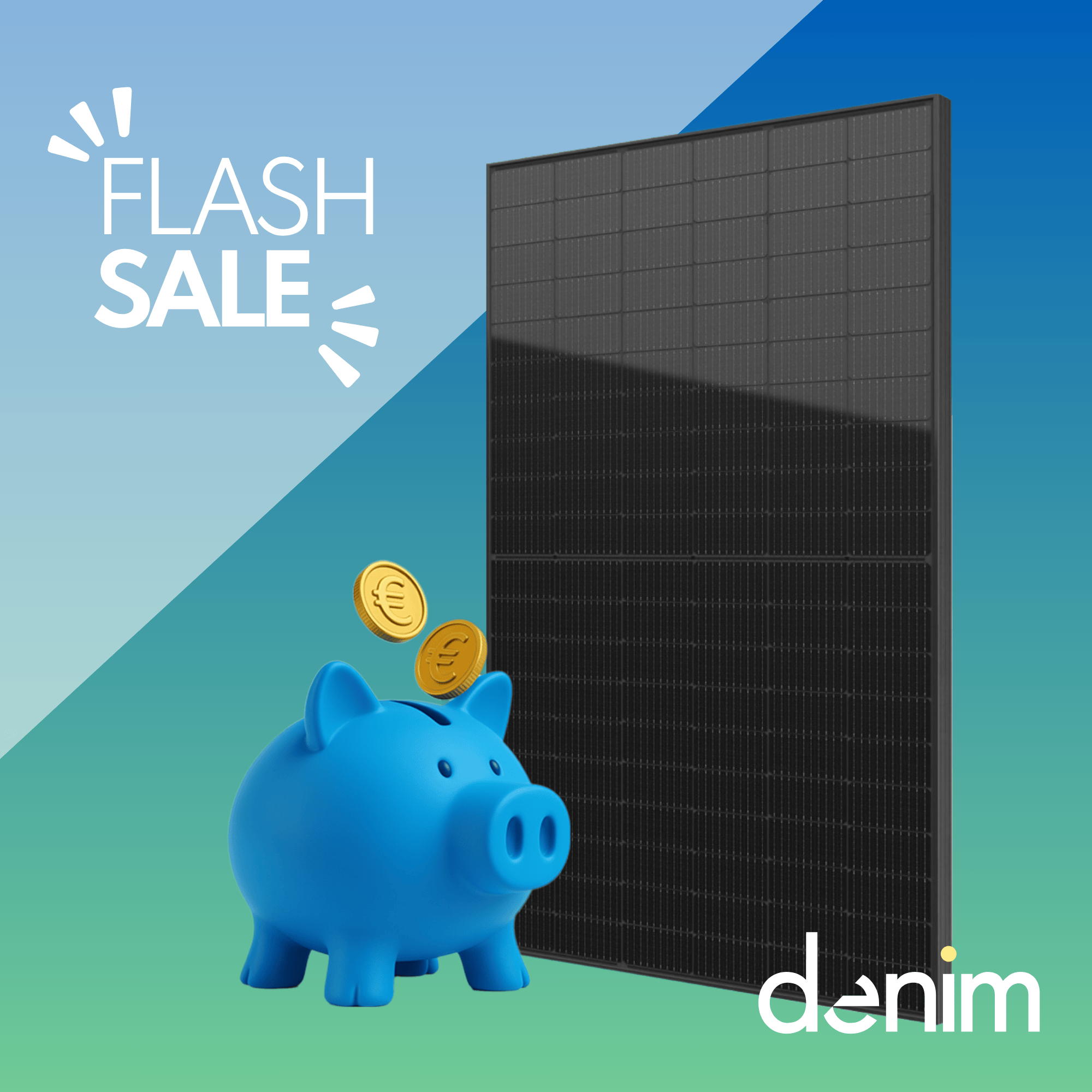 FLASH SALE Denim