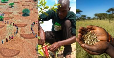 De 3 kernmethodes van Justdiggit: Earth Smiles, Kisiki Hai en Graszaadbanken Three-panel image showing Justdiggit regreening techniques: Earth Smiles water bunds on the left, a farmer applying Kisiki Hai tree restoration in the center, and harvested grass seeds held by a Maasai woman on the right.