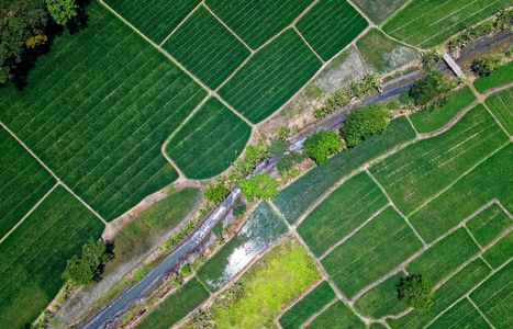 Agrifotovoltaico: Trasforma i campi dei tuoi clienti in mini-centrali elettriche (senza perdere un raccolto)