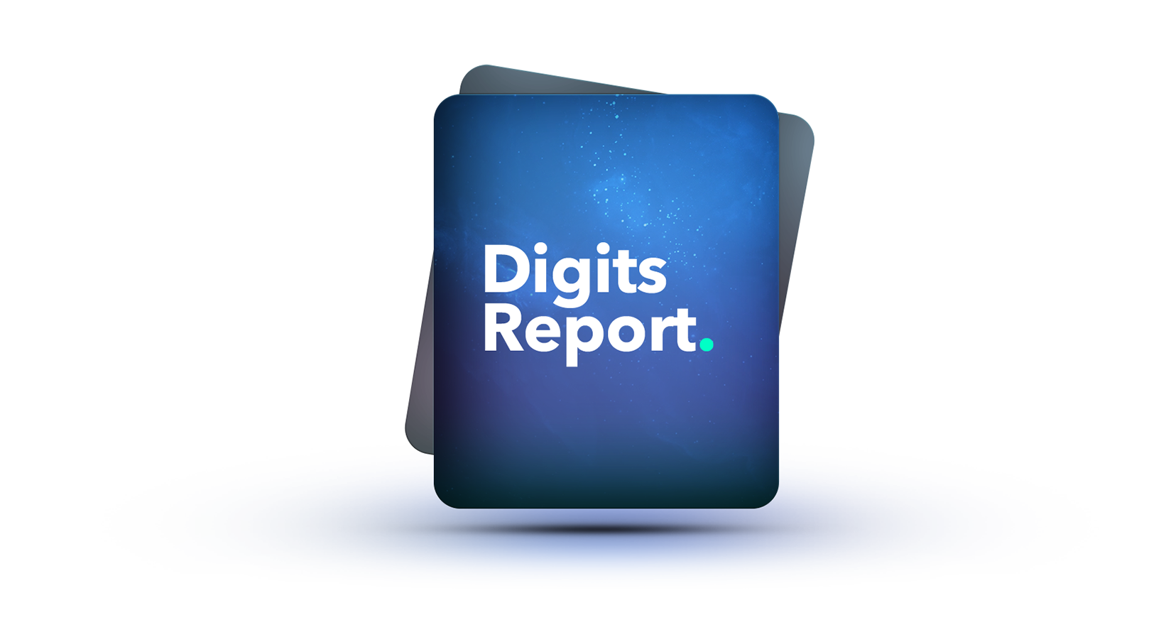 null Digits Report Icon